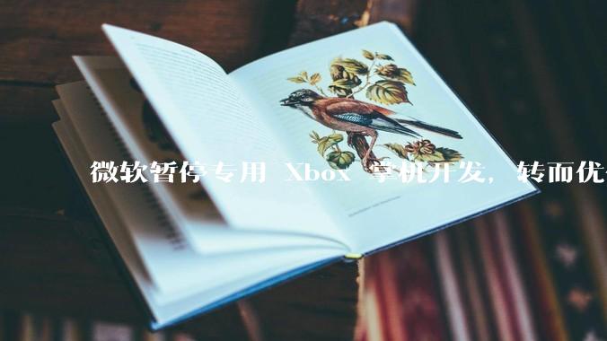 微软暂停专用 Xbox 掌机开发，转而优化 Windows 11 的掌机游戏体验，这背后原因有哪些？